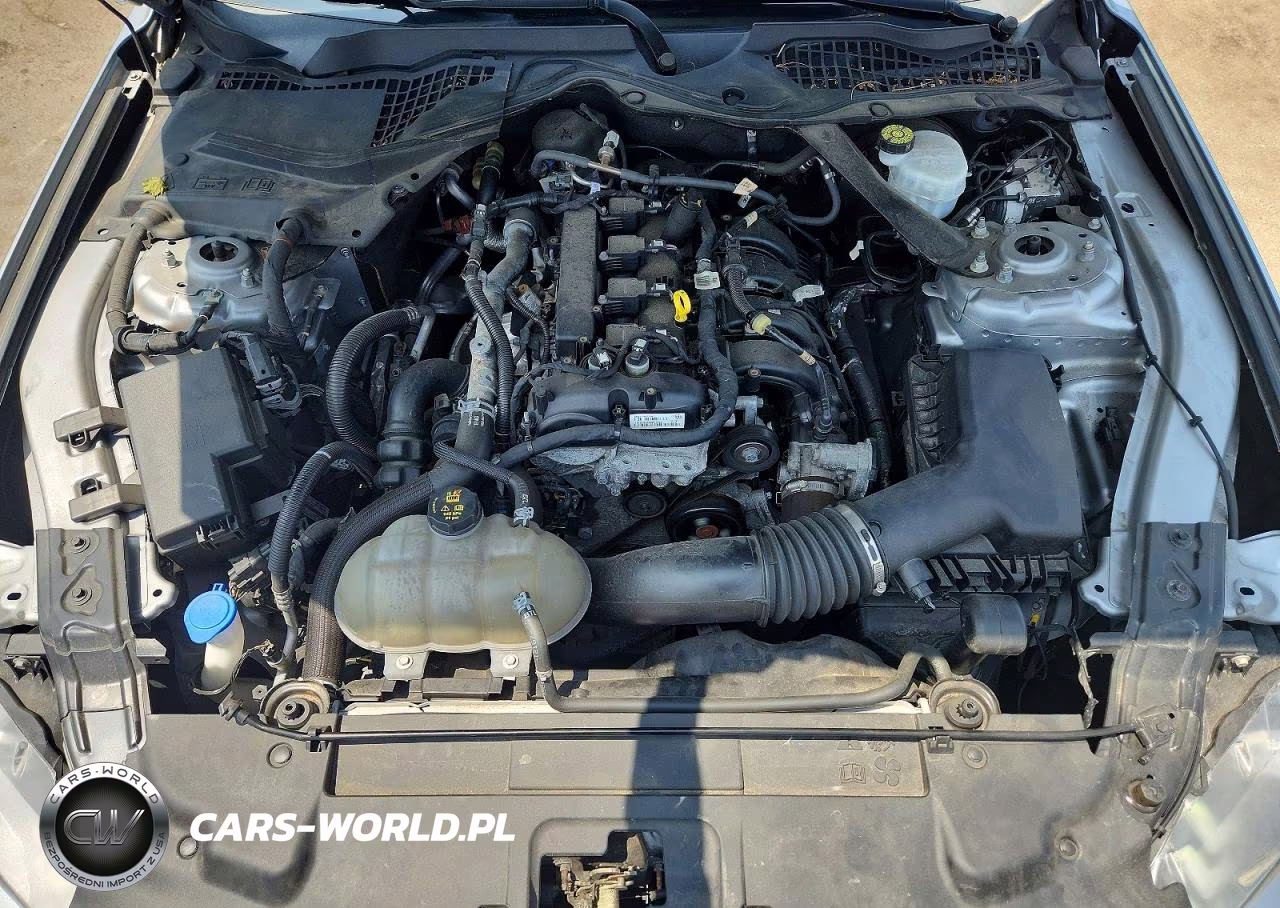 2021 Ford Mustang VIN:1FATP8UH4M5103895 - 11