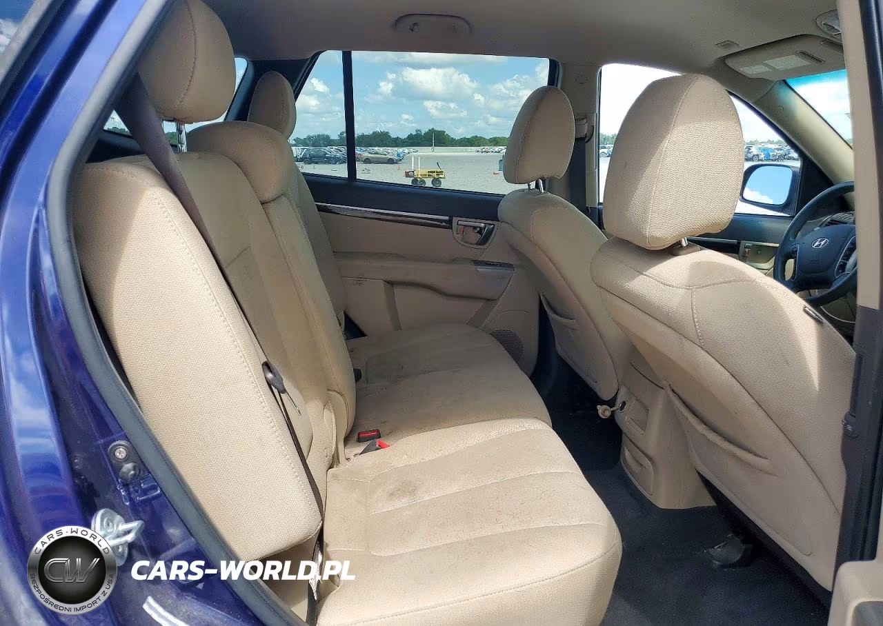 2010 Hyundai Santa Fe Gls VIN:5NMSG3AB5AH416228 - 10