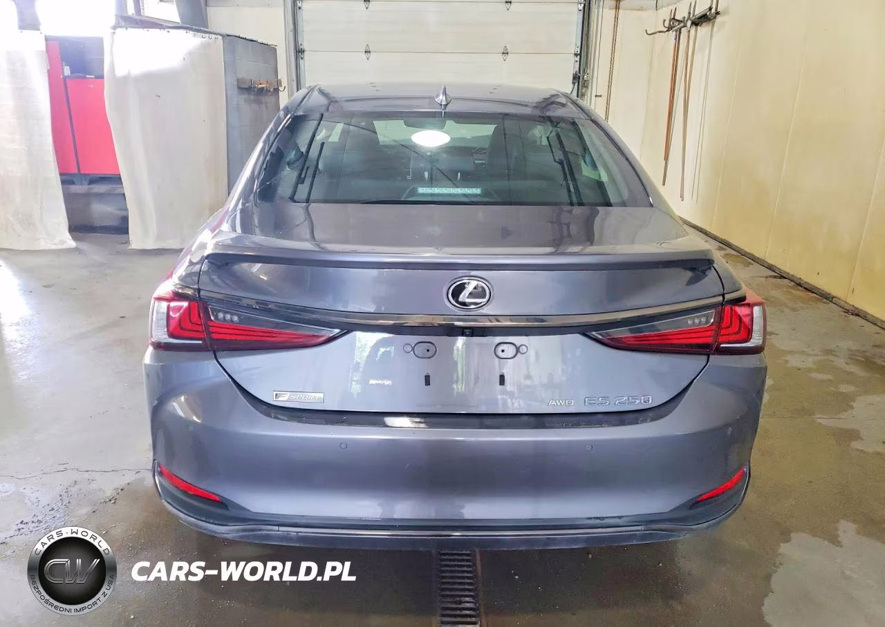 2021 Lexus Es 250 F Sport VIN:58AG11D13MU006575 - 6