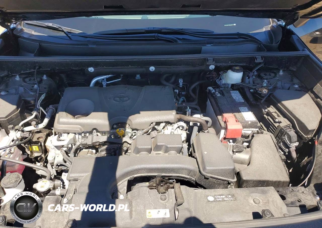 2025 Toyota Rav4 Xle VIN:2T3P1RFV0SW498430 - 12