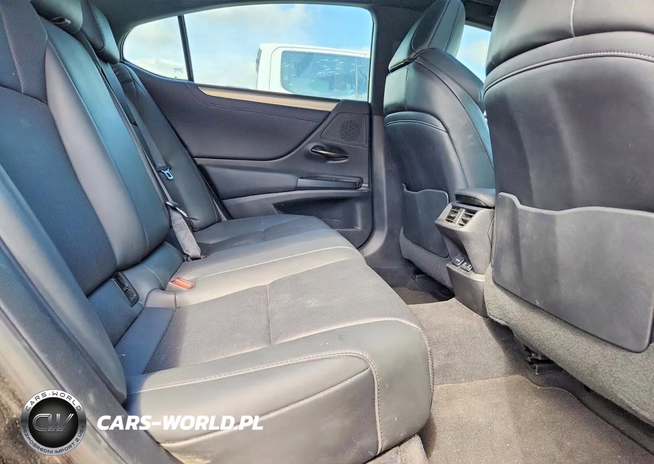 2021 Lexus Es 350 F Sport VIN:58AGZ1B19MU106689 - 10