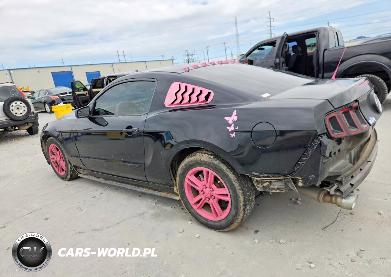 2014 Ford Mustang VIN:1ZVBP8AM2E5274750 - 2