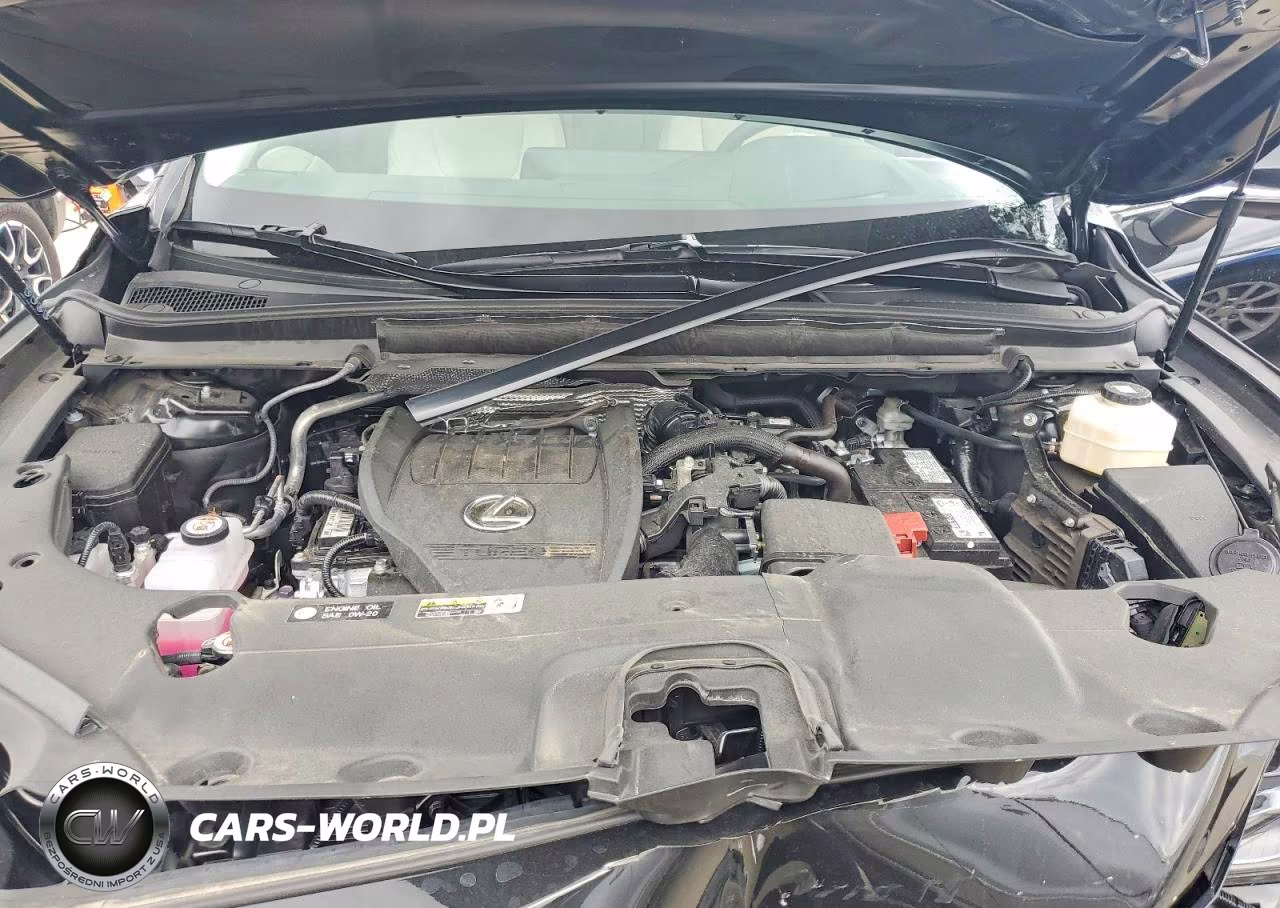 2025 Lexus Rx 350 Luxury VIN:2T2BAMCA6SC102621 - 12