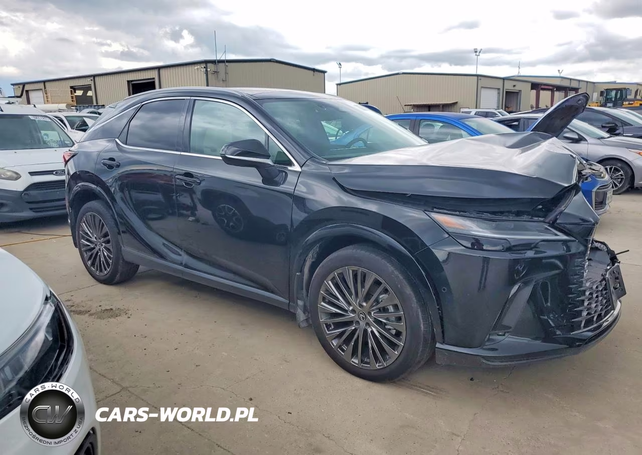 2025 Lexus Rx 350 Luxury VIN:2T2BAMCA6SC102621 - 4