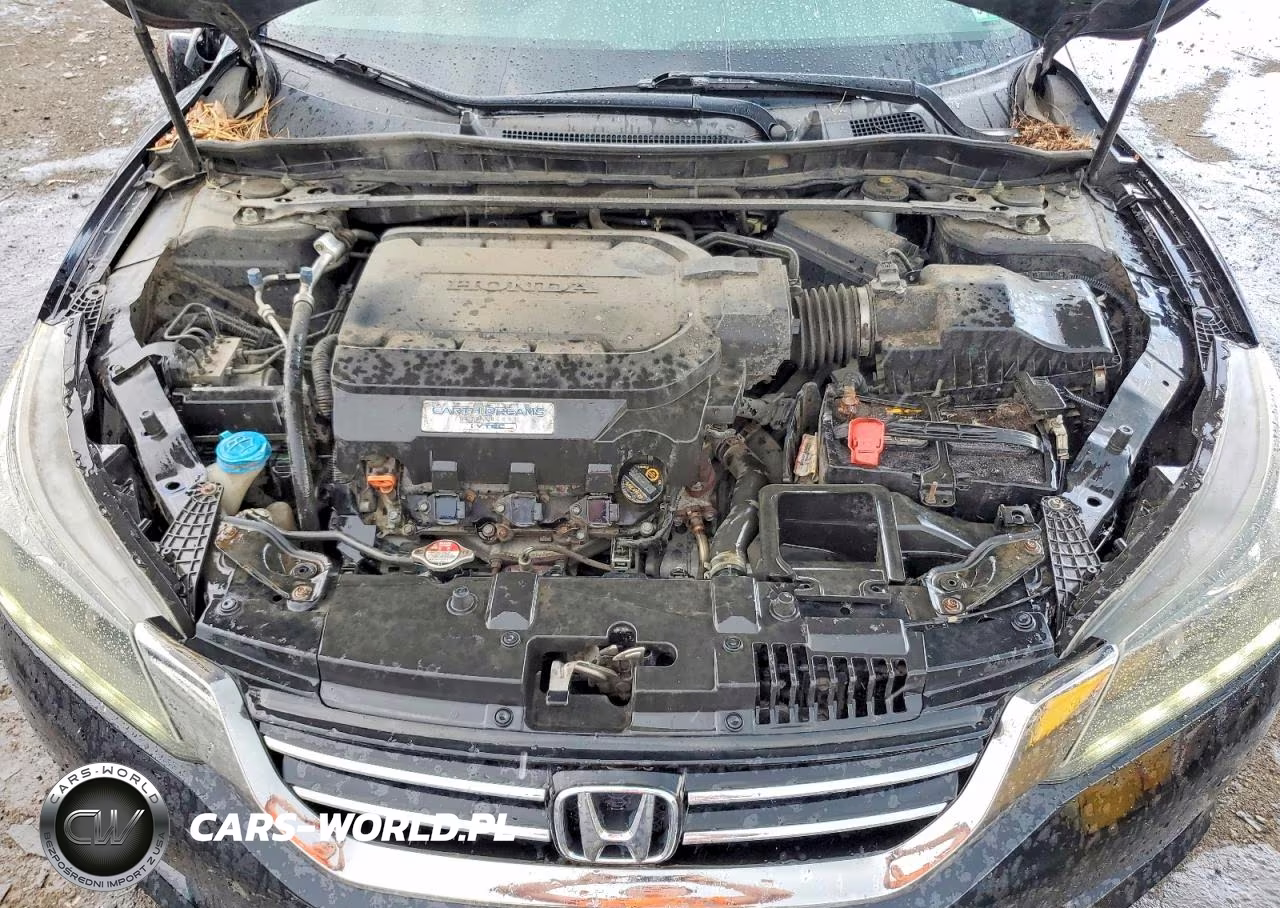 2013 Honda Accord Exl VIN:1HGCR3F81DA038808 - 11