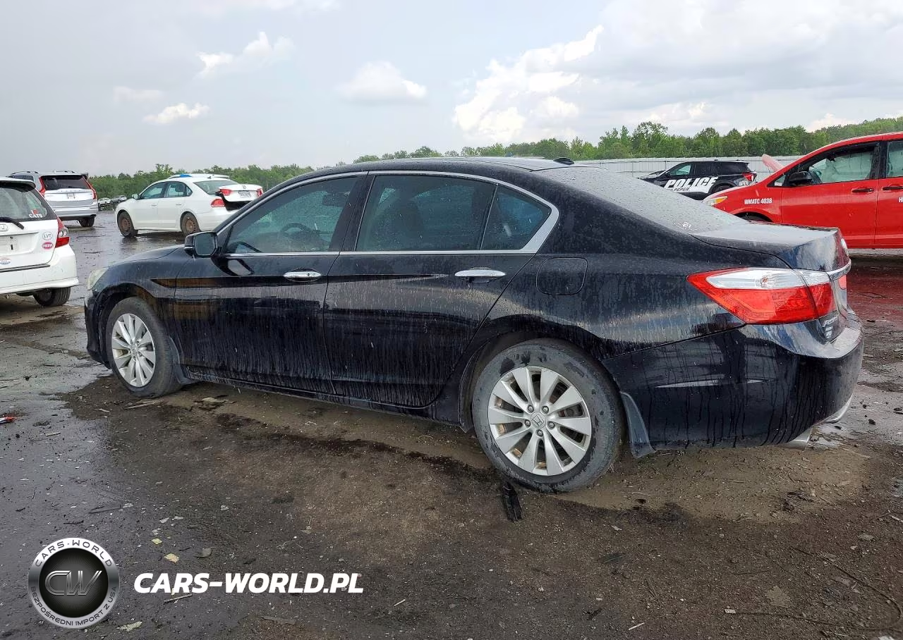 2013 Honda Accord Exl VIN:1HGCR3F81DA038808 - 2