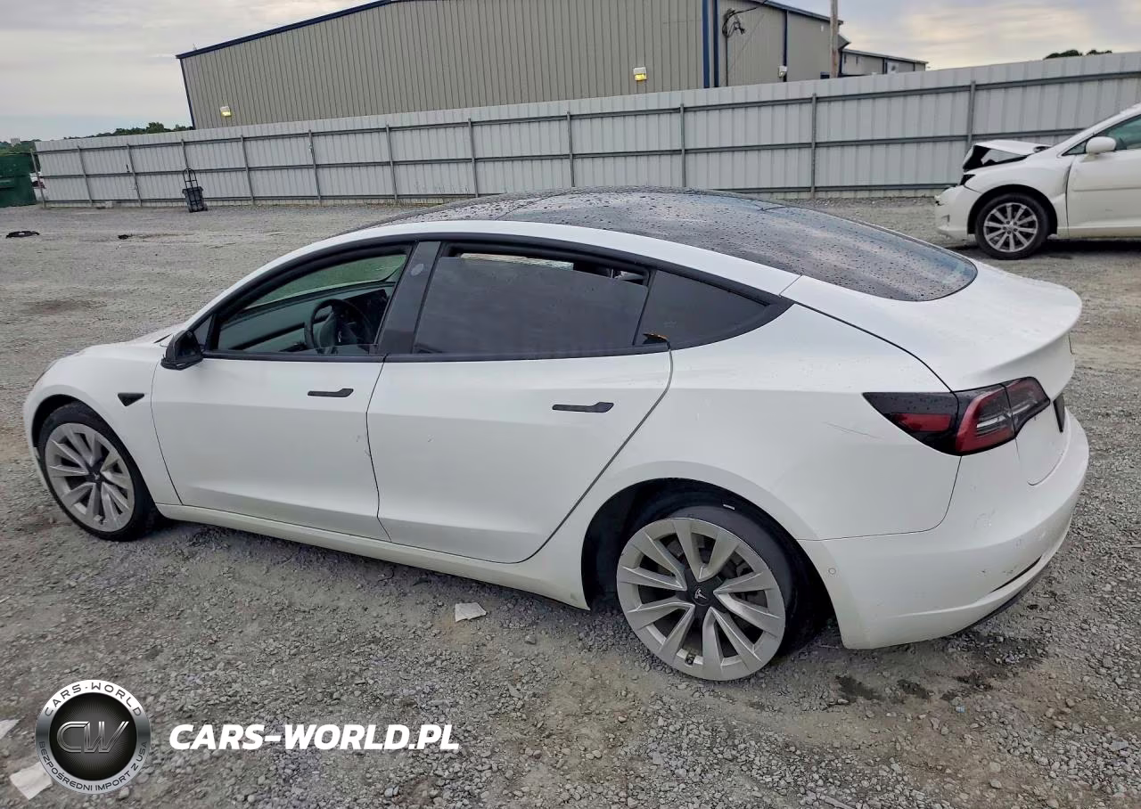 2021 Tesla Model 3 VIN:5YJ3E1EA4MF977834 - 2