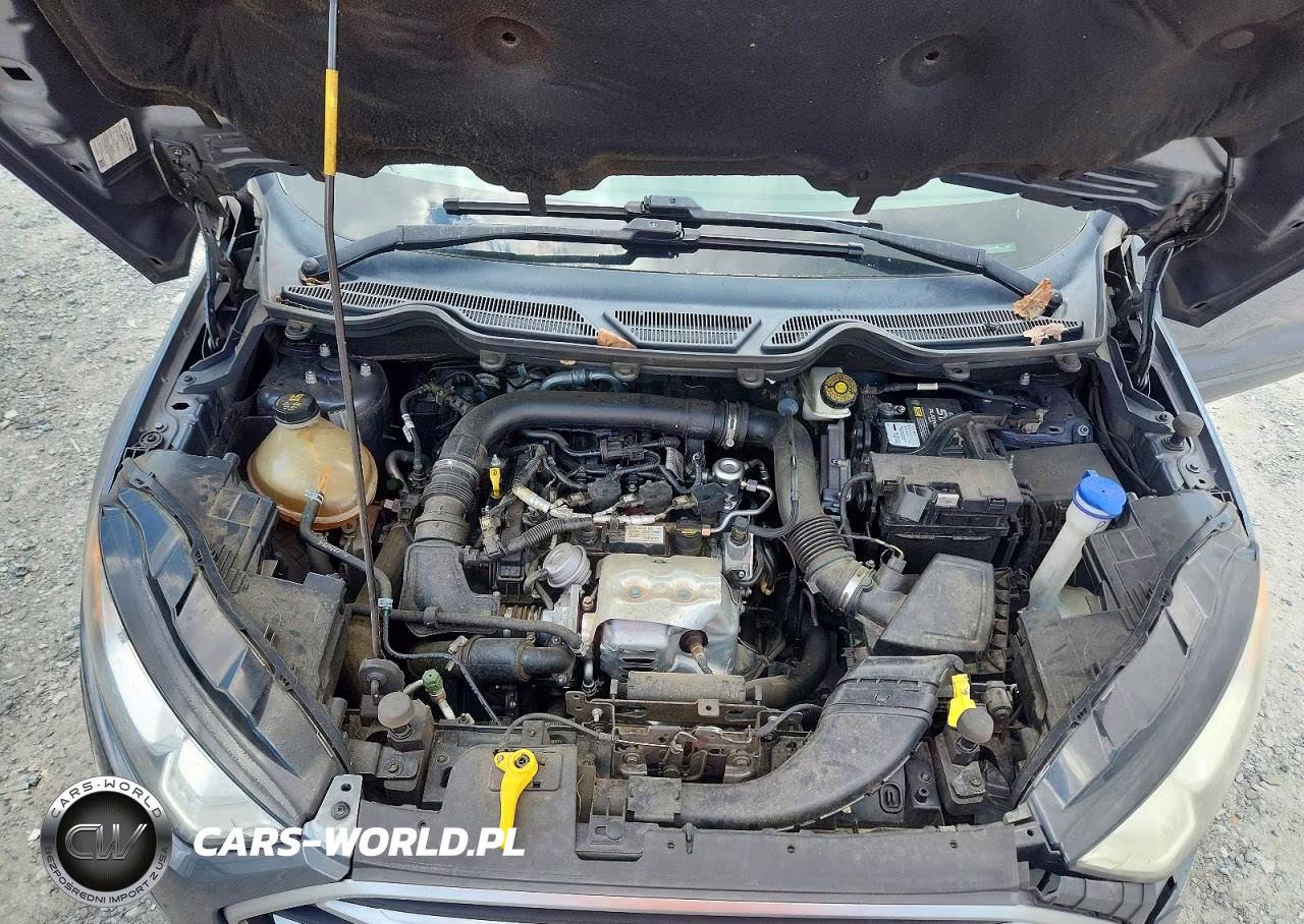 2018 Ford Ecosport Se VIN:MAJ3P1TE1JC221246 - 12