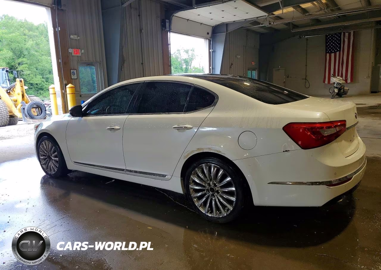 2015 Kia Cadenza Premium VIN:KNALN4D76F5176783 - 2