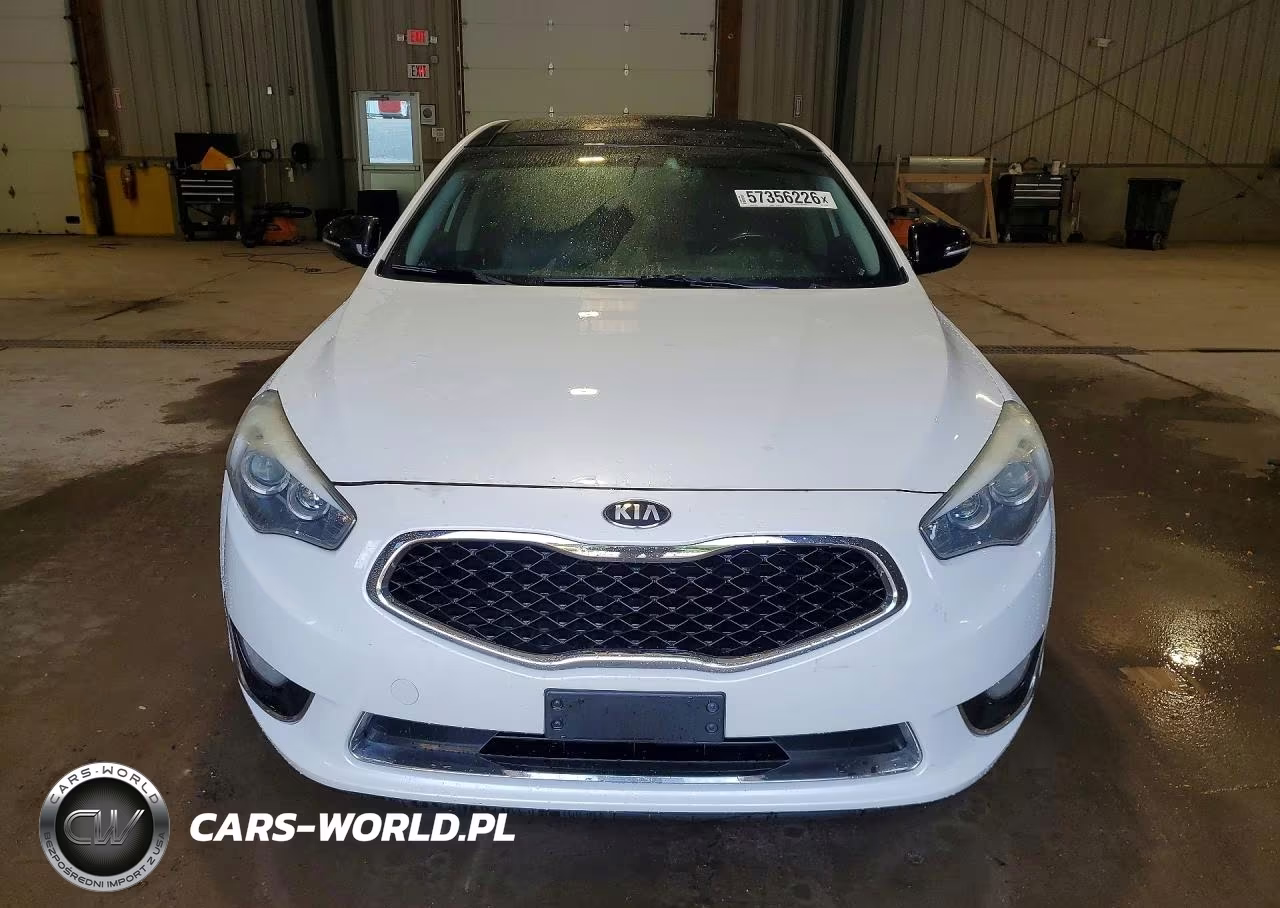 2015 Kia Cadenza Premium VIN:KNALN4D76F5176783 - 5