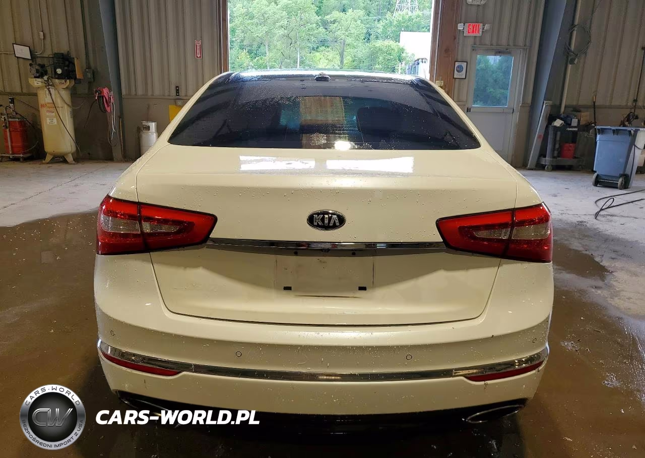 2015 Kia Cadenza Premium VIN:KNALN4D76F5176783 - 6