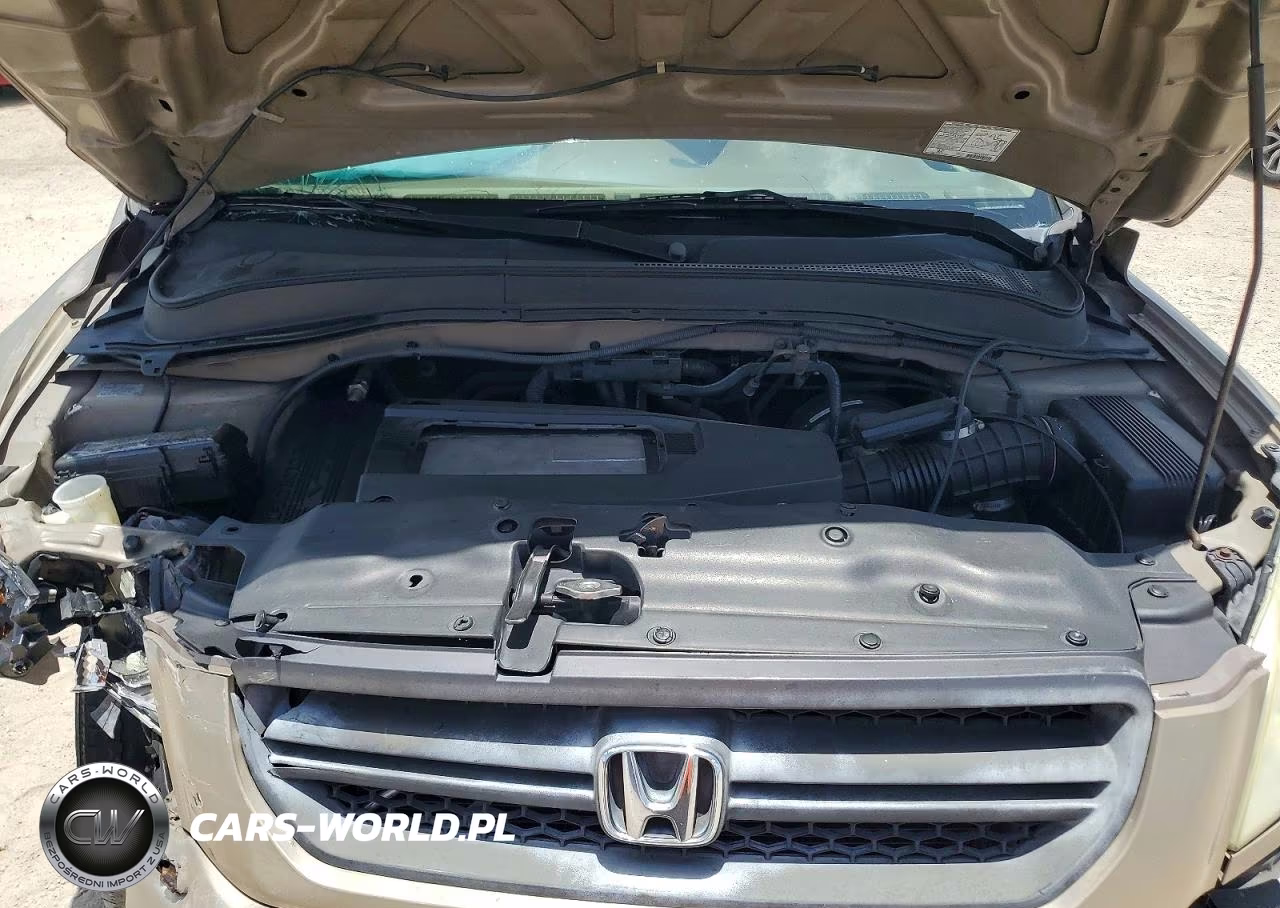 2004 Honda Pilot Exl VIN:2HKYF18614H618453 - 11