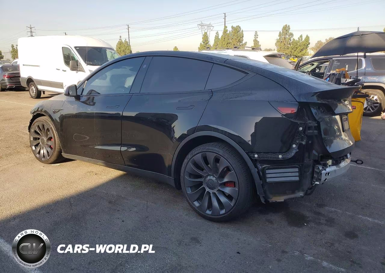 2024 Tesla Model Y VIN:7SAYGDEF7RF058515 - 2