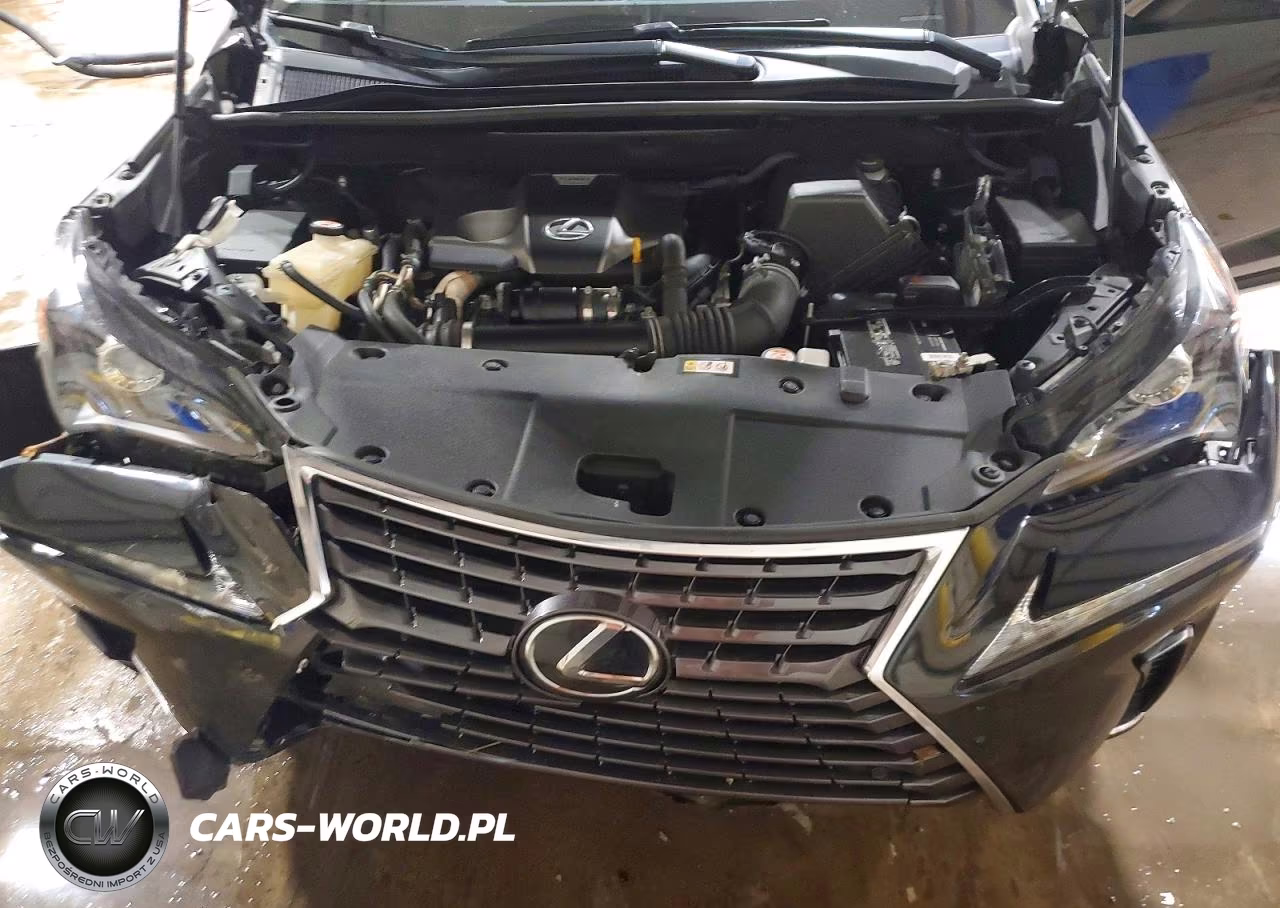 2020 Lexus Nx 300 VIN:JTJDARDZ7L2224996 - 12