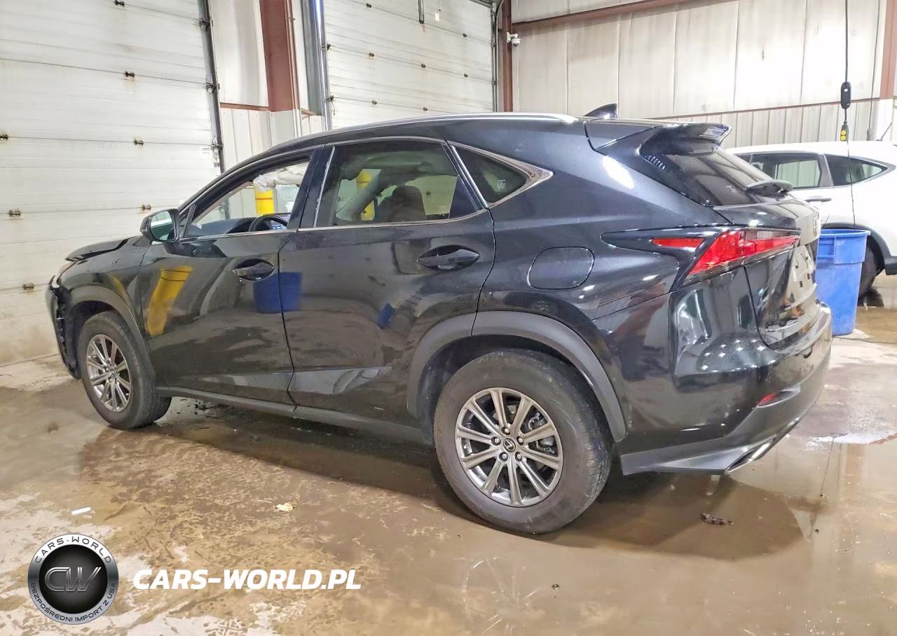 2020 Lexus Nx 300 VIN:JTJDARDZ7L2224996 - 2