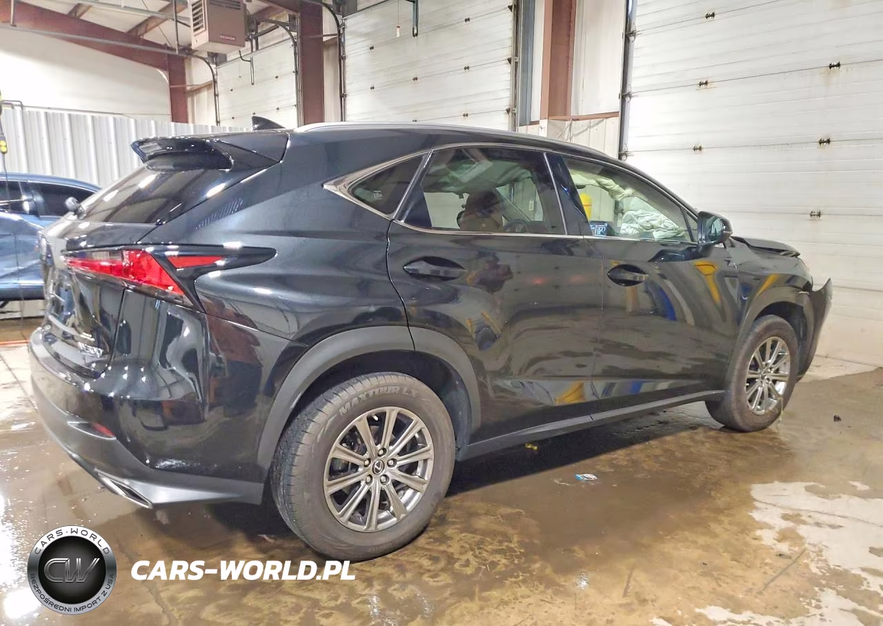2020 Lexus Nx 300 VIN:JTJDARDZ7L2224996 - 3