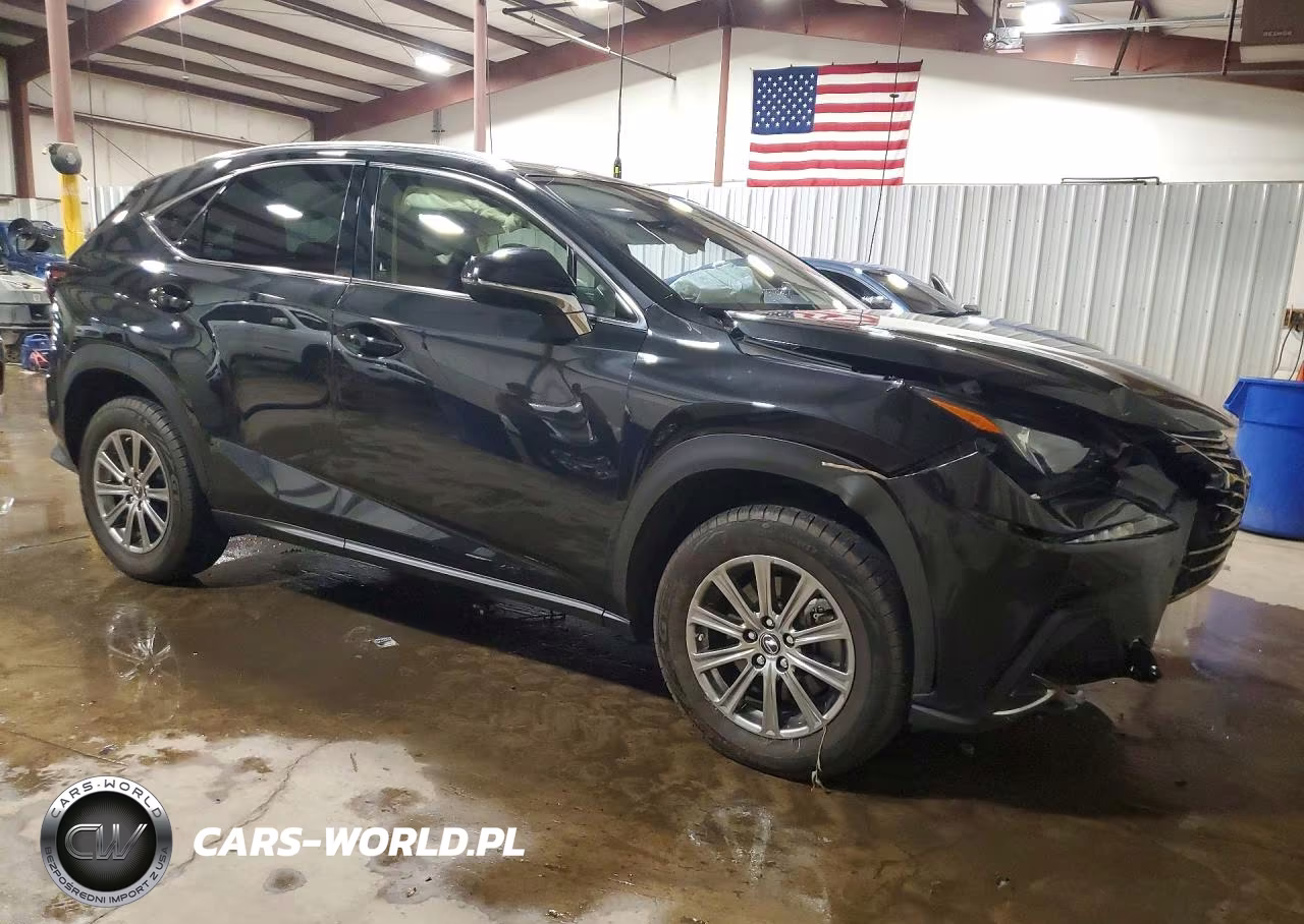 2020 Lexus Nx 300 VIN:JTJDARDZ7L2224996 - 4