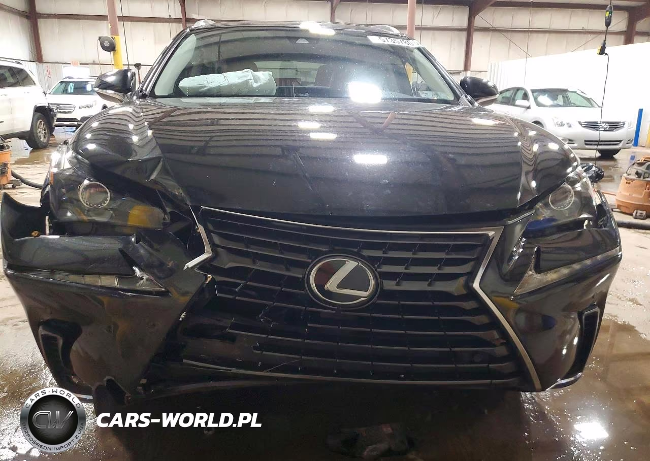 2020 Lexus Nx 300 VIN:JTJDARDZ7L2224996 - 5