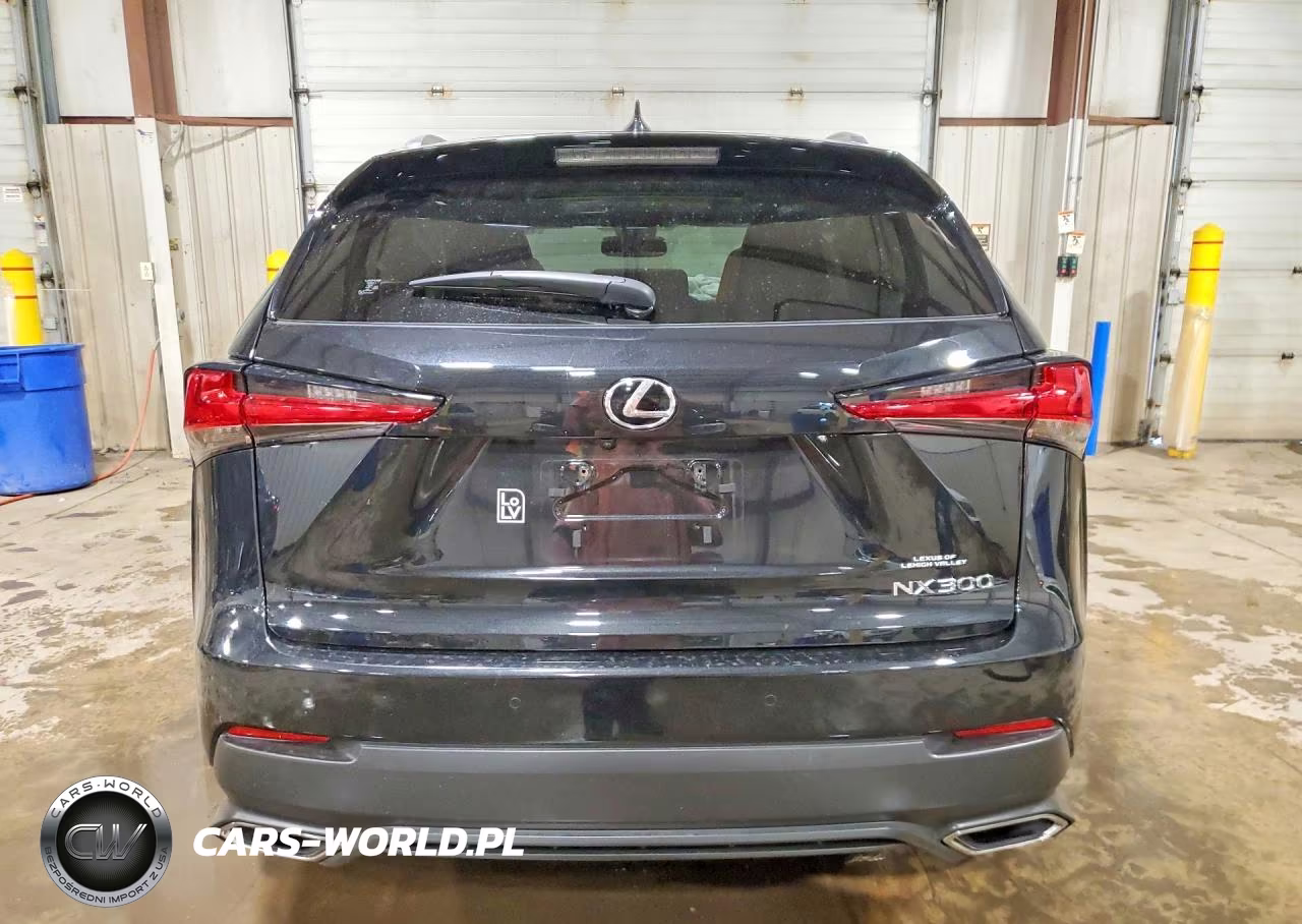 2020 Lexus Nx 300 VIN:JTJDARDZ7L2224996 - 6