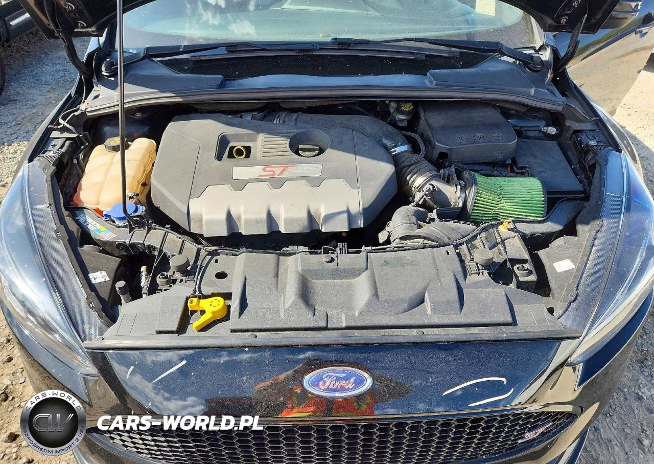 2016 Ford Focus St VIN:1FADP3L98GL405756 - 11