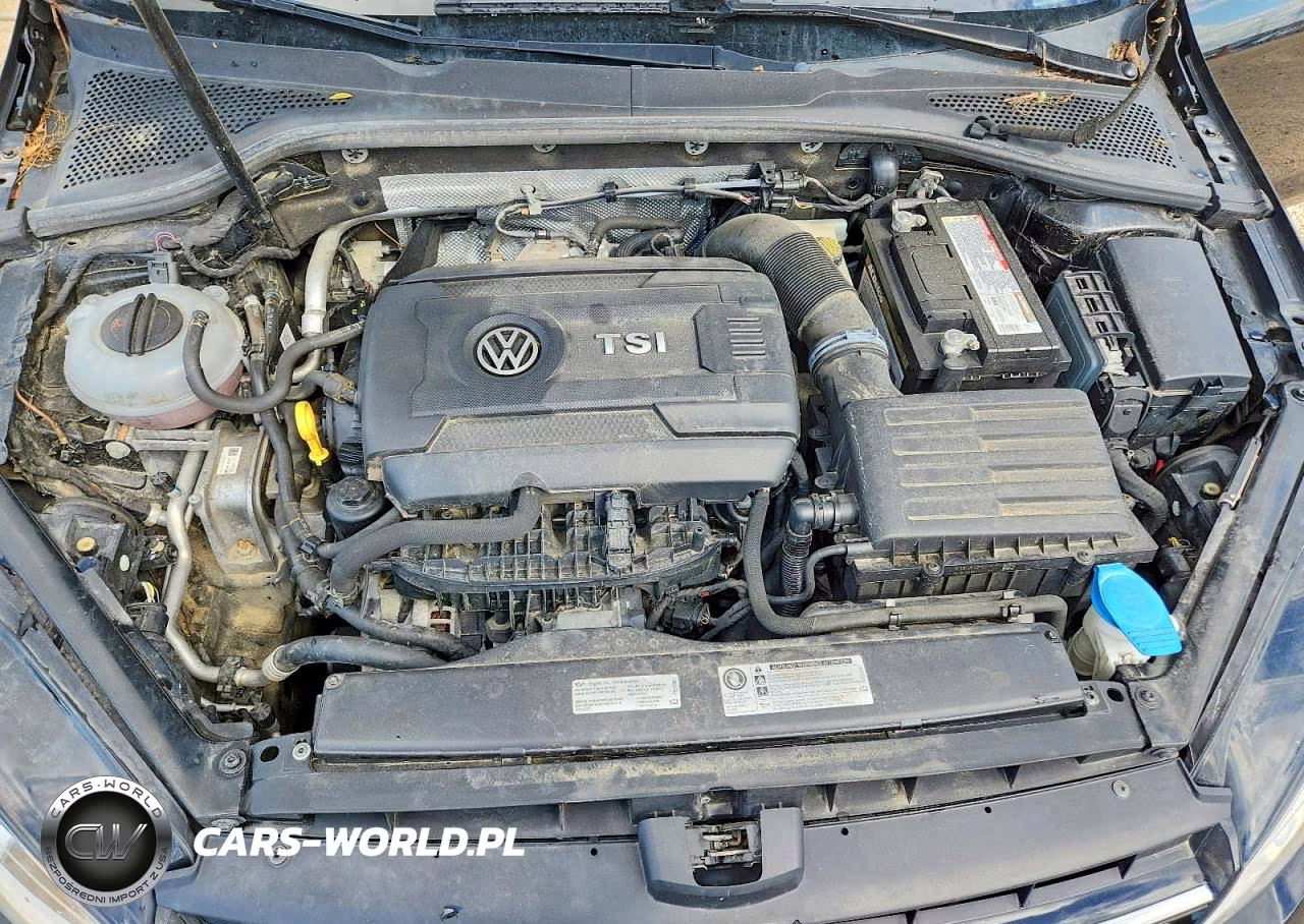 2016 Volkswagen Golf S VIN:3VW217AU4GM051280 - 11