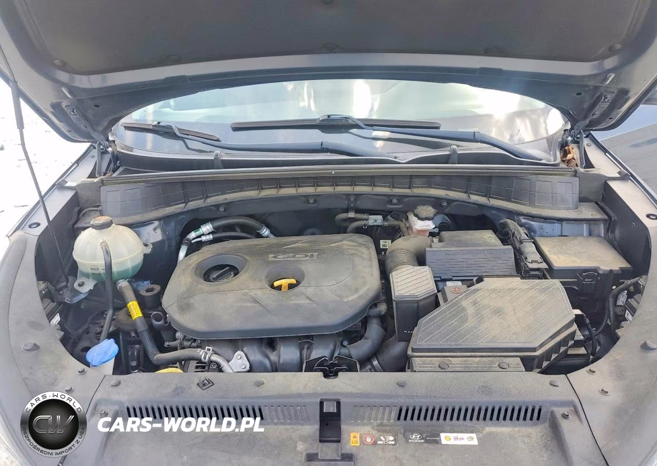 2019 Hyundai Tucson Se VIN:KM8J2CA4XKU938998 - 12