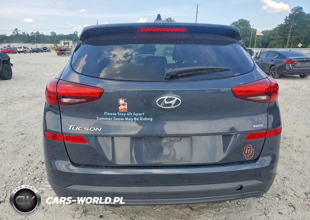 2019 Hyundai Tucson Se VIN:KM8J2CA4XKU938998 - 6