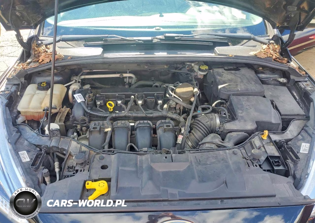2015 Ford Focus Se VIN:1FADP3F23FL270957 - 11