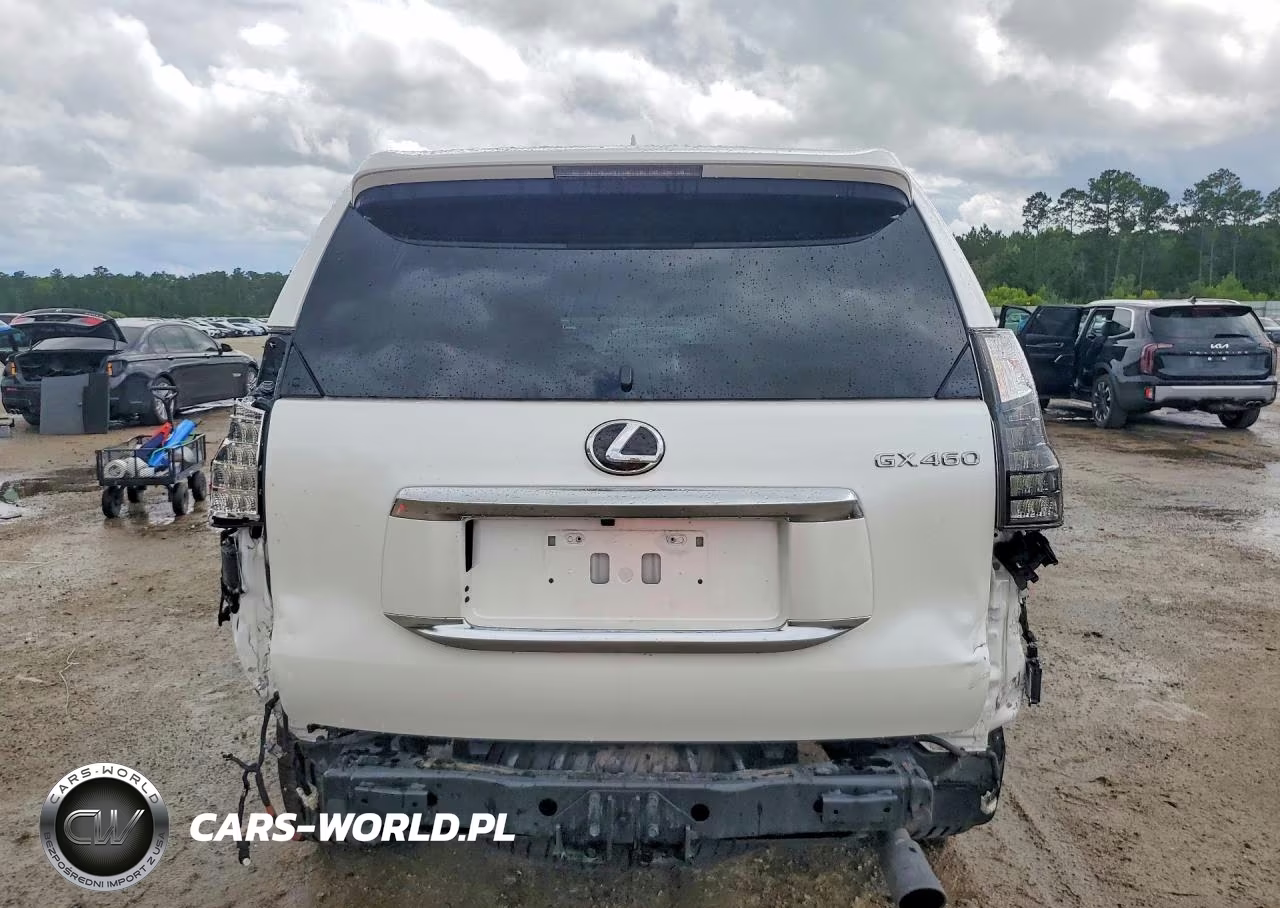 2023 Lexus Gx 460 VIN:JTJAM7BXXP5347986 - 6