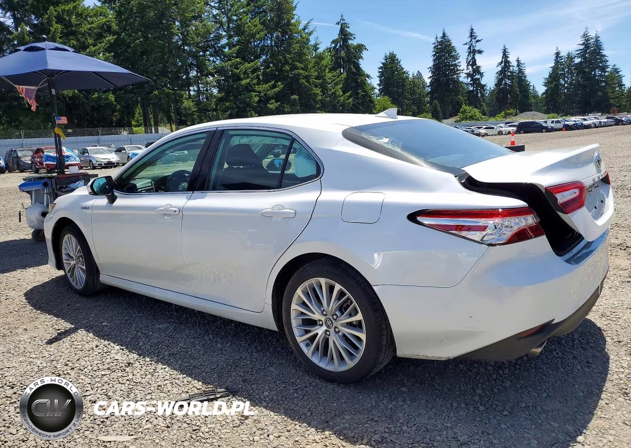 2019 Toyota Camry Hybrid Xle VIN:4T1B21HK4KU516447 - 2