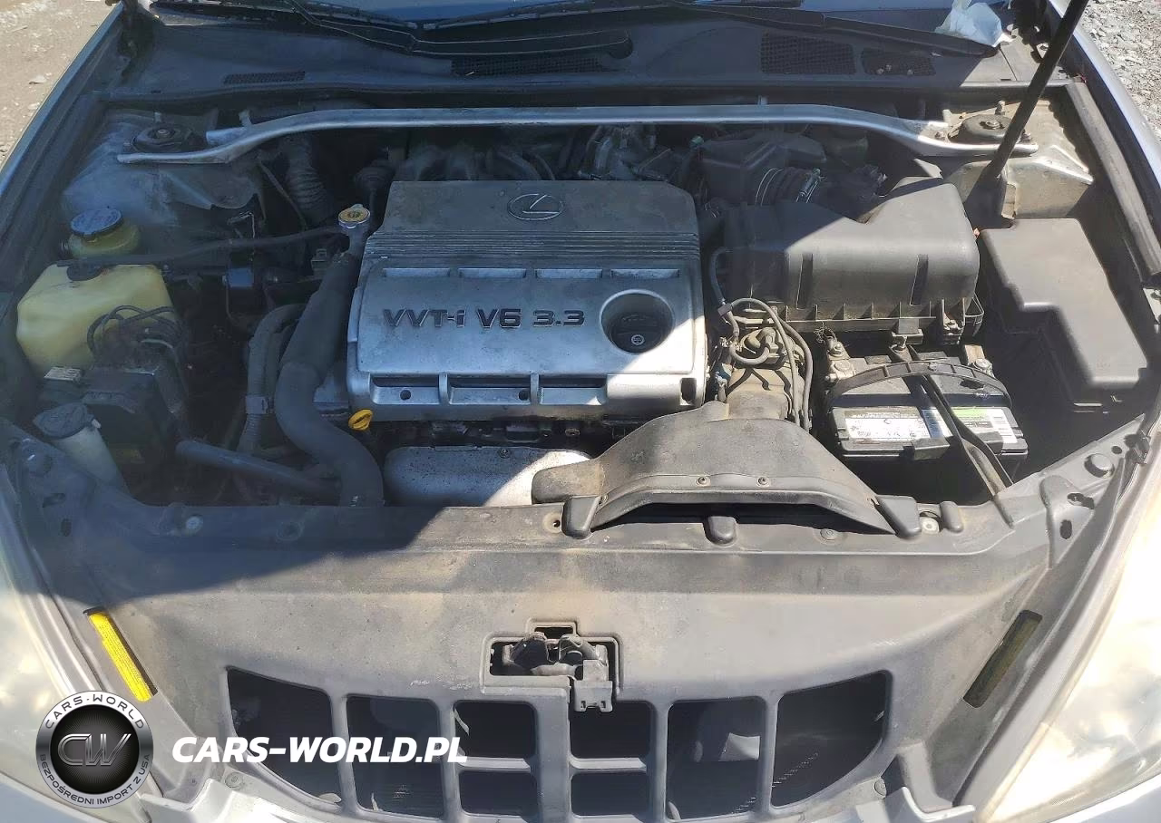 2004 Lexus Es 330 VIN:JTHBA30G645006932 - 11
