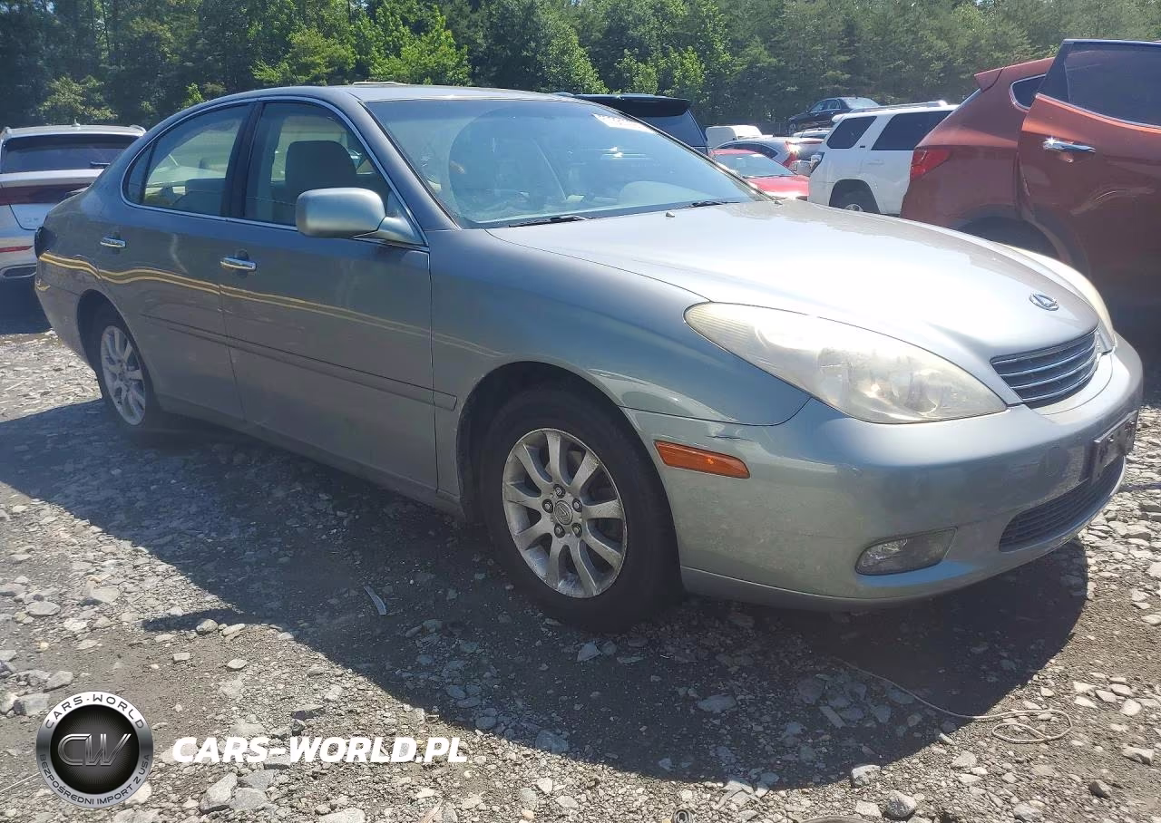 2004 Lexus Es 330 VIN:JTHBA30G645006932 - 4