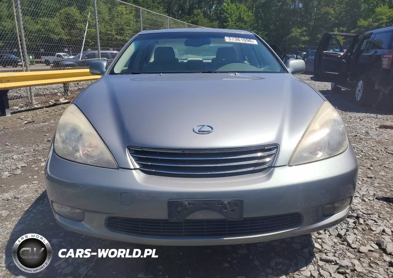2004 Lexus Es 330 VIN:JTHBA30G645006932 - 5