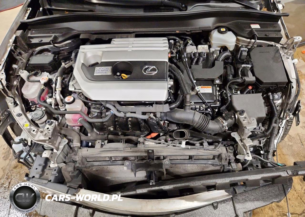 2020 Lexus Ux 250H VIN:JTHE9JBH3L2032677 - 12