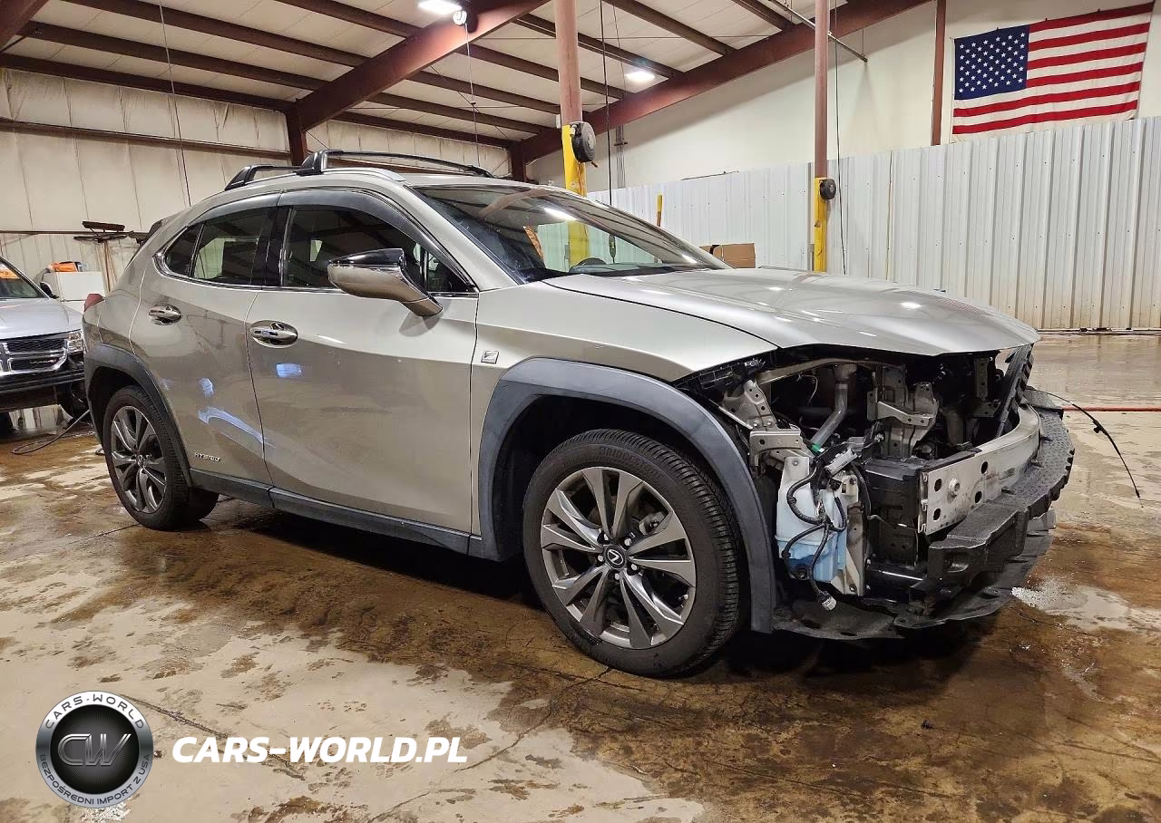 2020 Lexus Ux 250H VIN:JTHE9JBH3L2032677 - 4