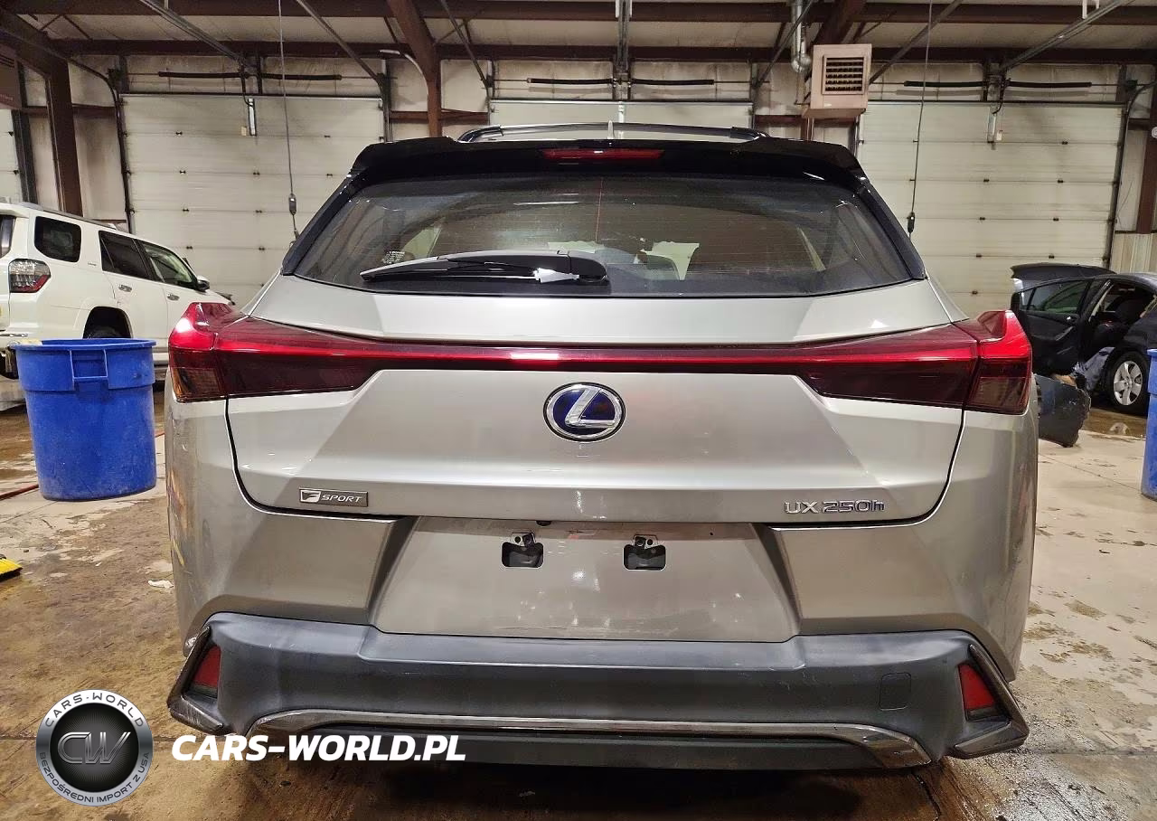 2020 Lexus Ux 250H VIN:JTHE9JBH3L2032677 - 6