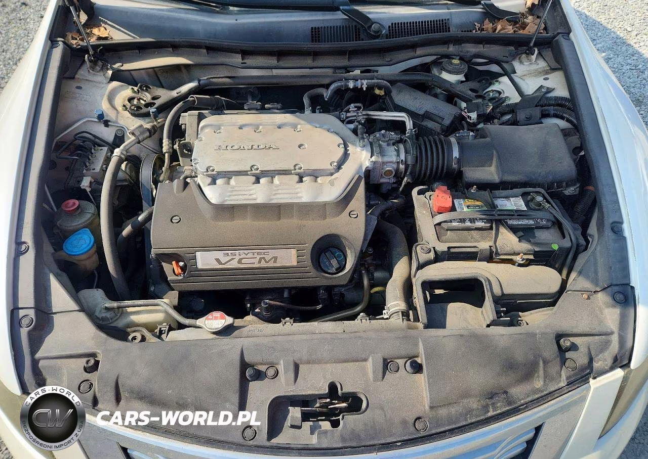 2010 Honda Accord Exl VIN:5KBCP3F81AB004103 - 11