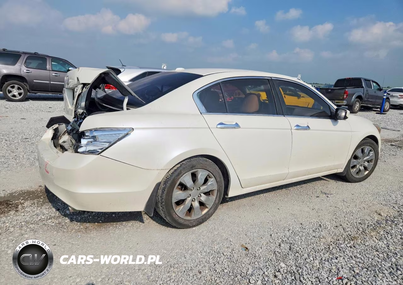 2010 Honda Accord Exl VIN:5KBCP3F81AB004103 - 3