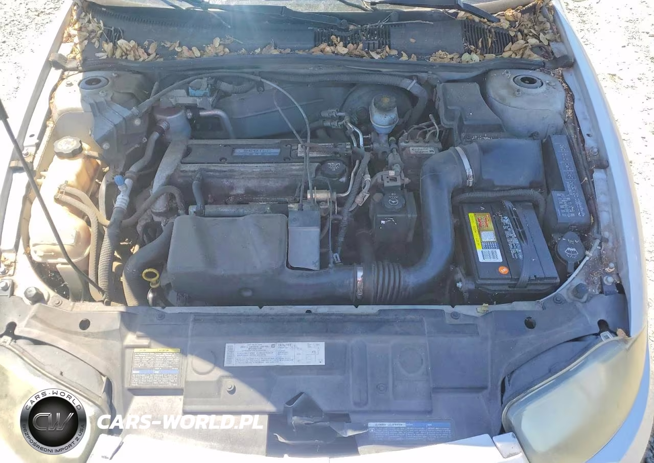 2004 Chevrolet Cavalier Ls VIN:1G1JF52F547284068 - 11