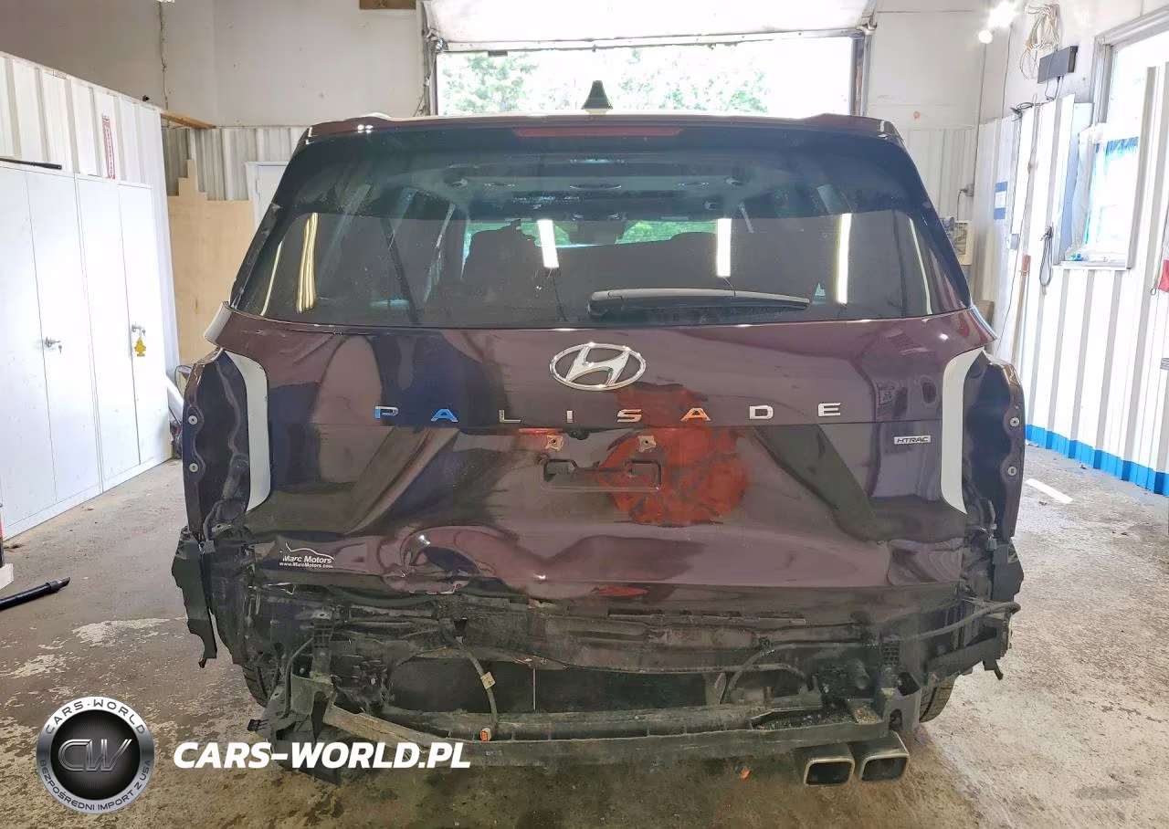 2024 Hyundai Palisade Sel Premium VIN:KM8R4DGE5RU722635 - 6