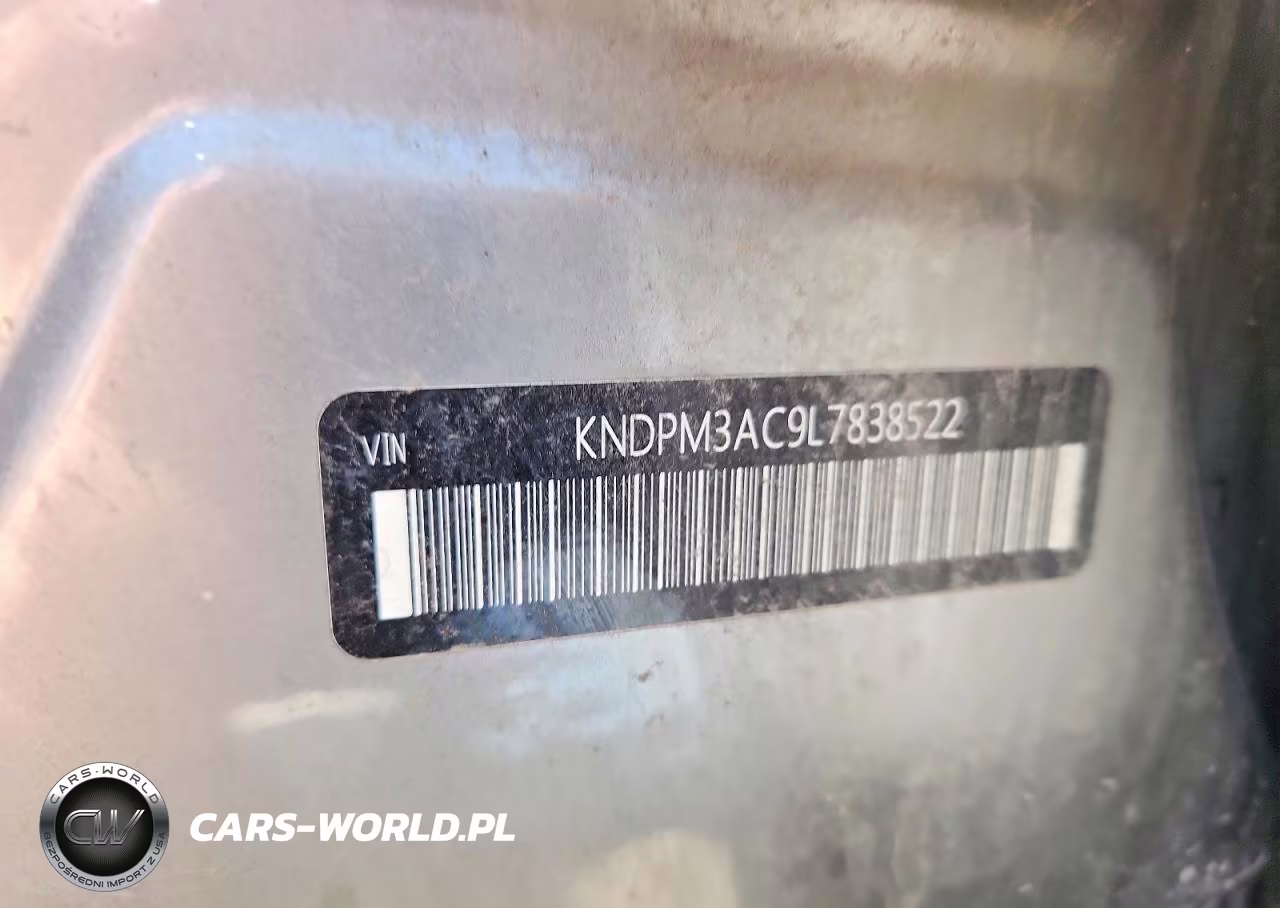 2020 Kia Sportage Lx VIN:KNDPM3AC9L7838522 - 13