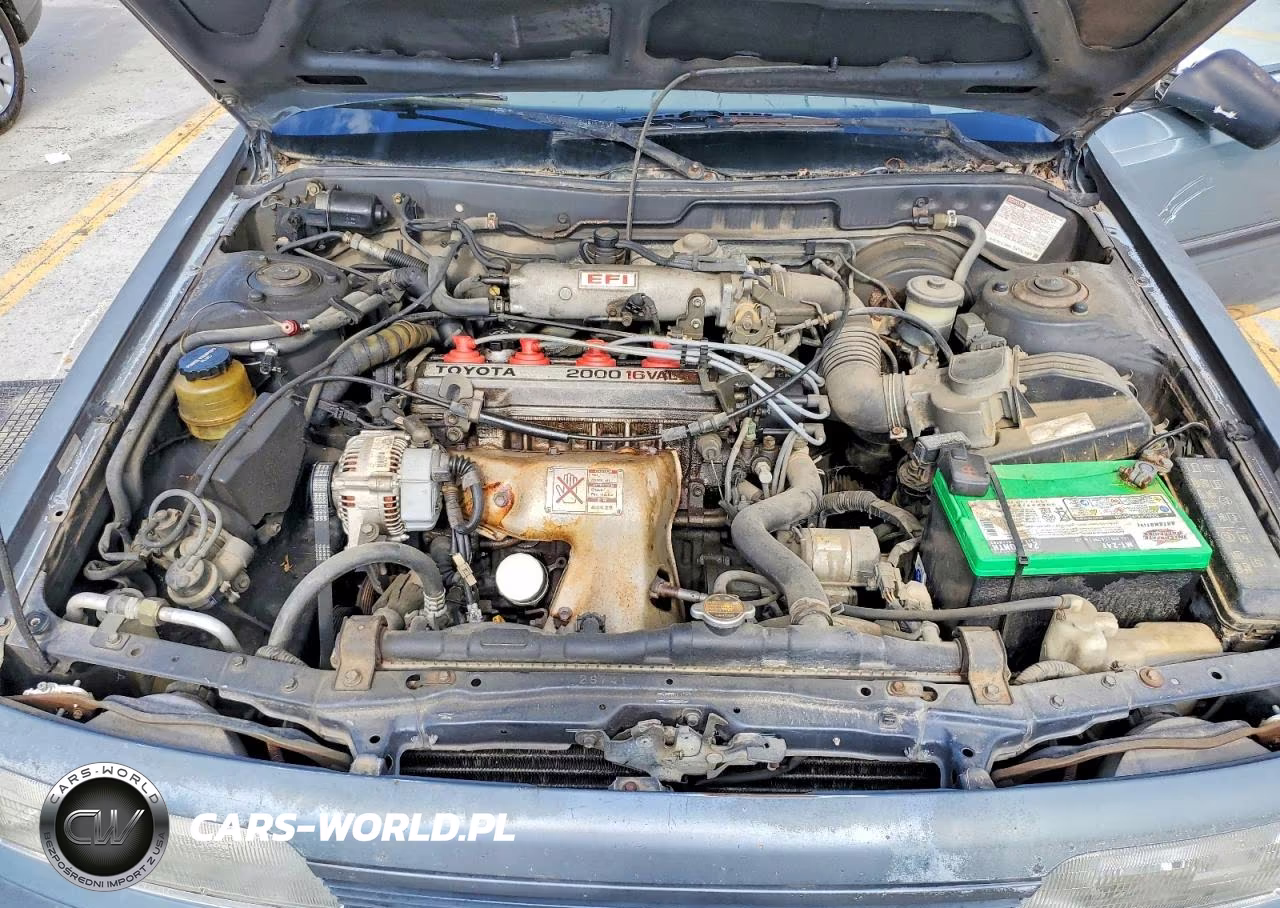 1991 Toyota Camry Dlx VIN:4T1SV21EXMU332733 - 11