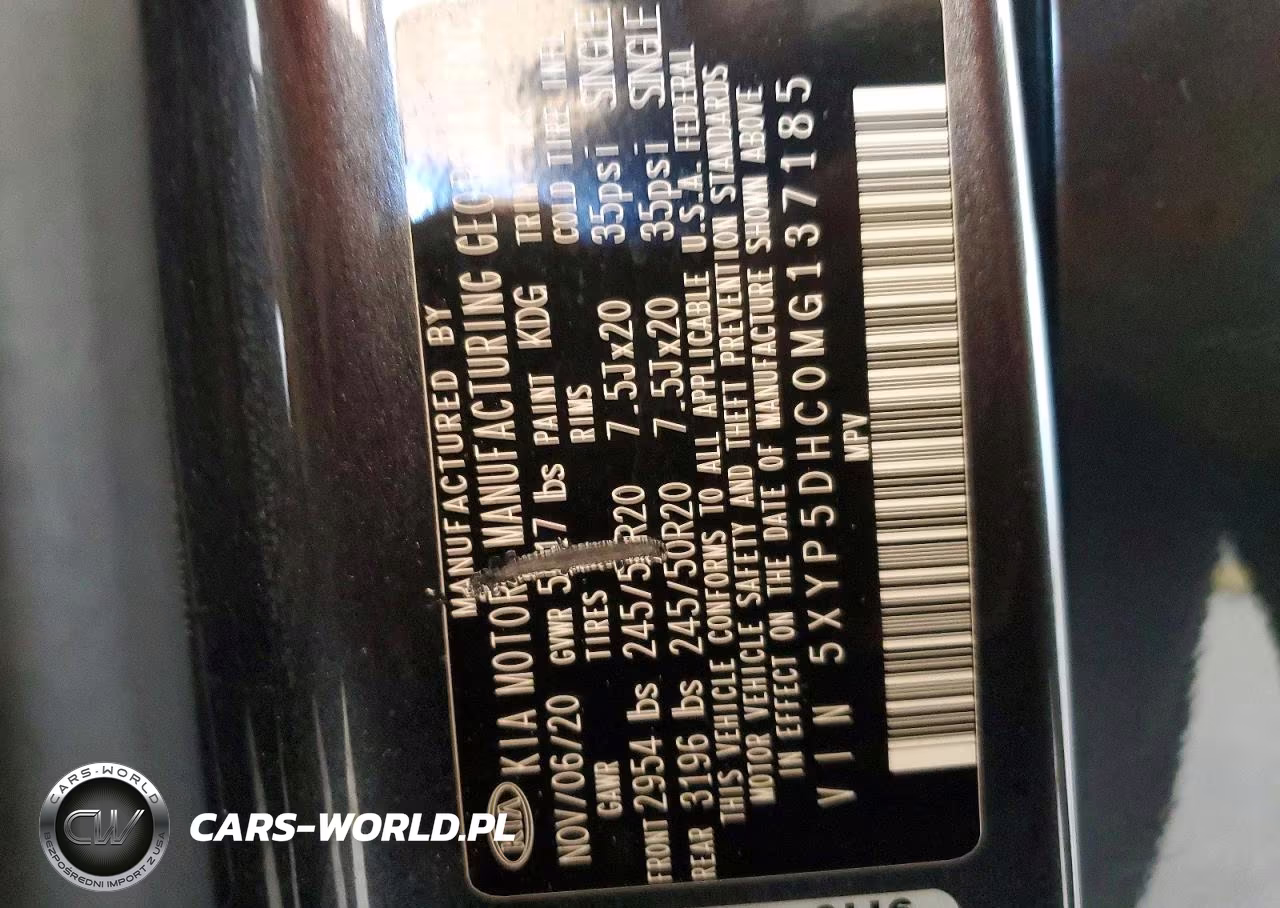 2021 Kia Telluride Sx VIN:5XYP5DHC0MG137185 - 13