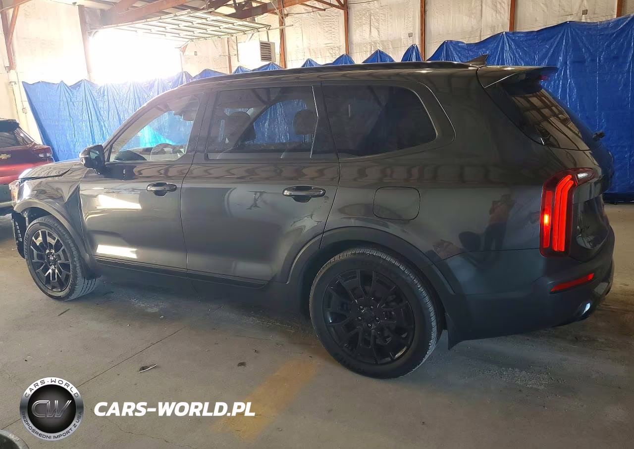 2021 Kia Telluride Sx VIN:5XYP5DHC0MG137185 - 2