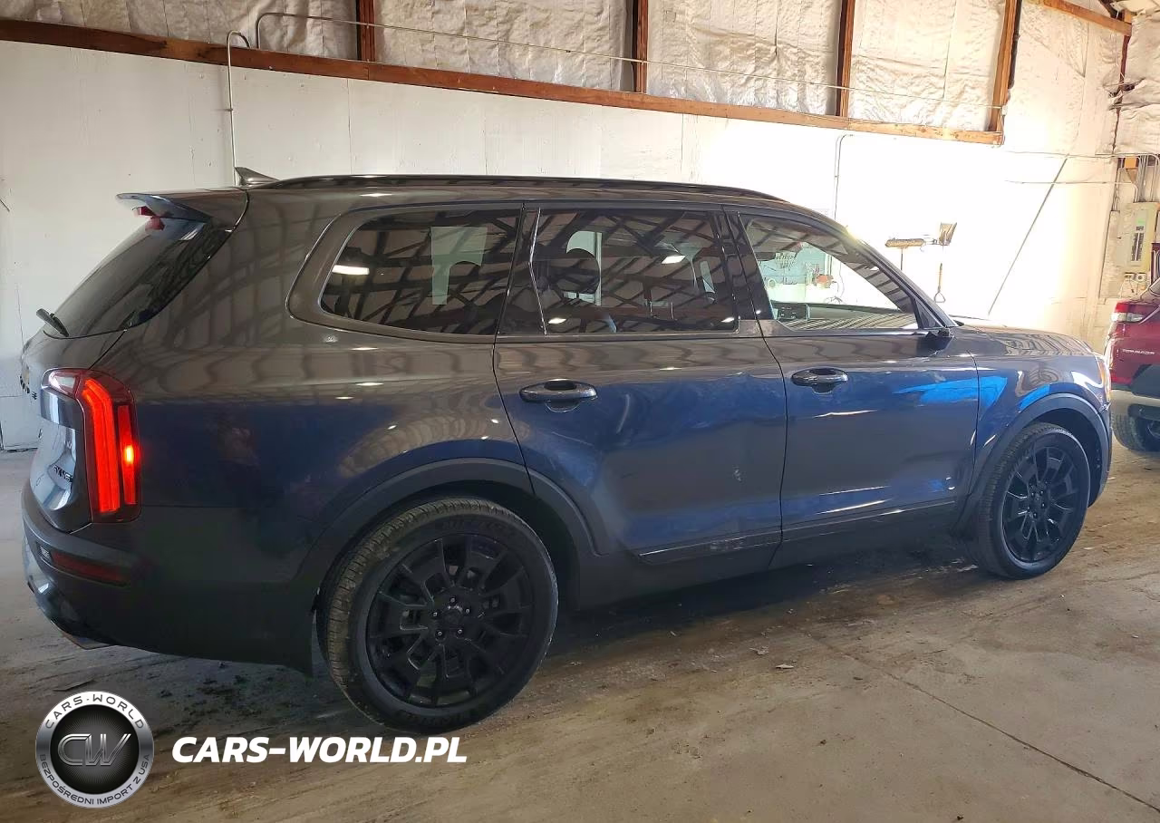2021 Kia Telluride Sx VIN:5XYP5DHC0MG137185 - 3