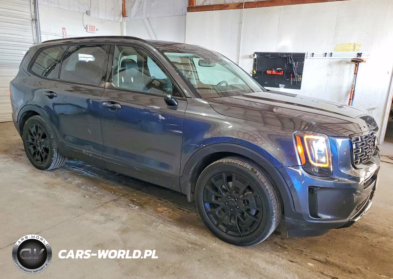 2021 Kia Telluride Sx VIN:5XYP5DHC0MG137185 - 4