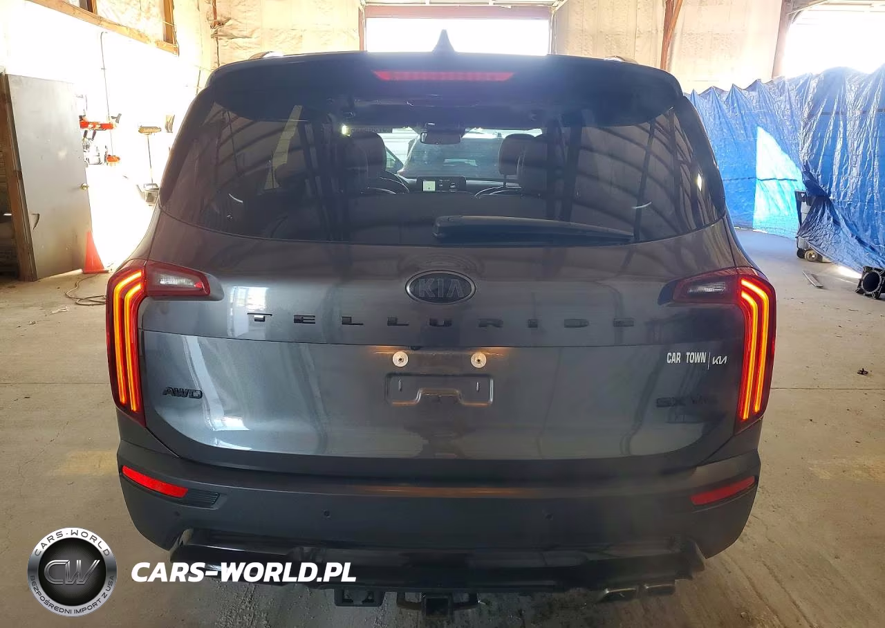 2021 Kia Telluride Sx VIN:5XYP5DHC0MG137185 - 6