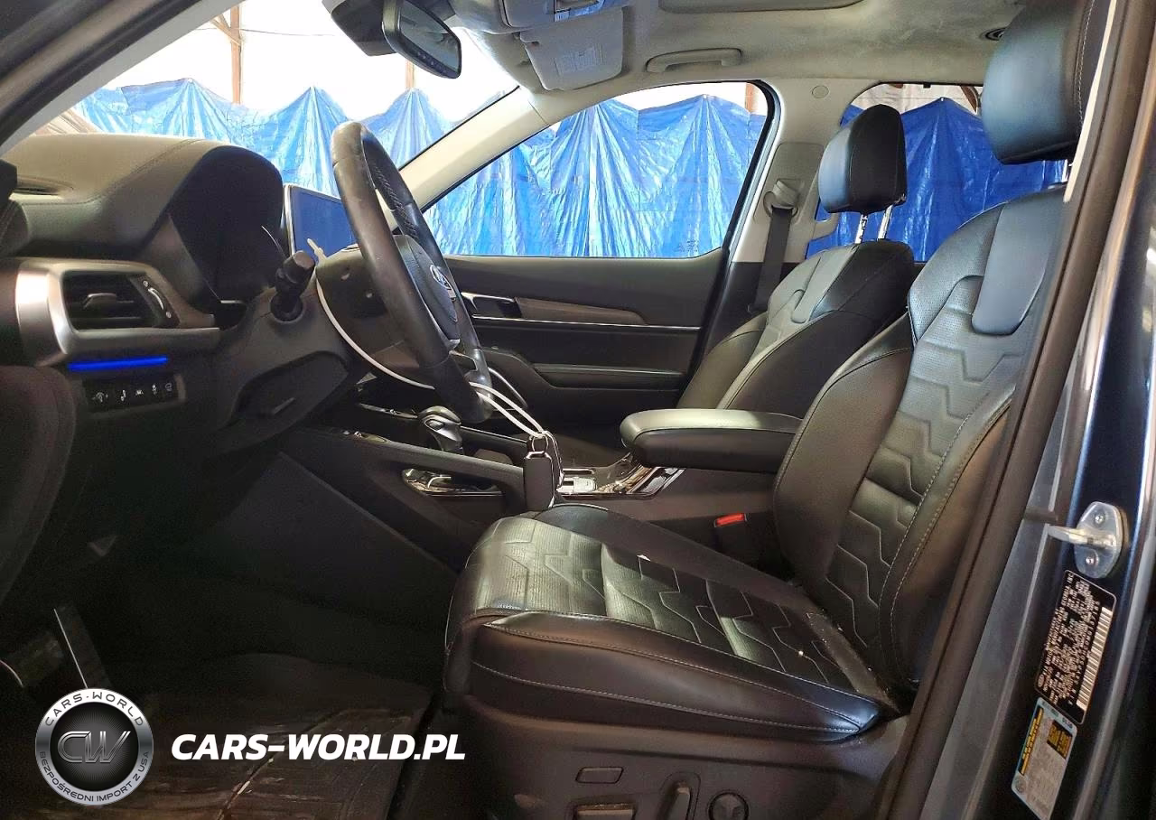 2021 Kia Telluride Sx VIN:5XYP5DHC0MG137185 - 7