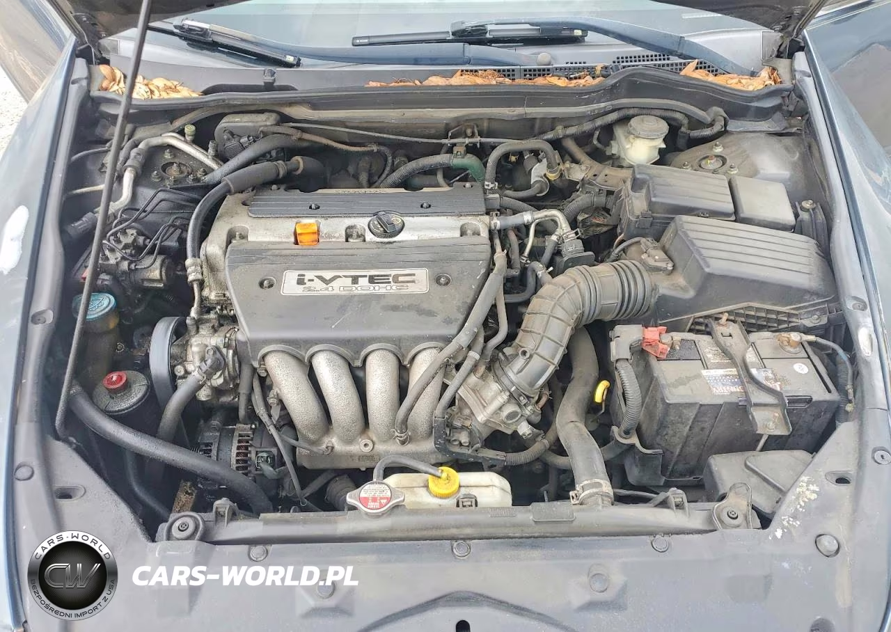 2007 Honda Accord Ex VIN:1HGCM56897A116749 - 11