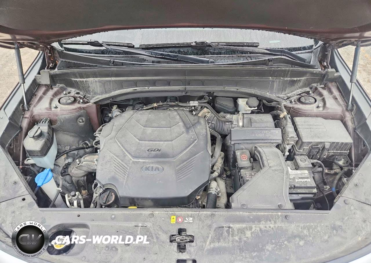 2020 Kia Telluride S VIN:5XYP6DHCXLG018328 - 12